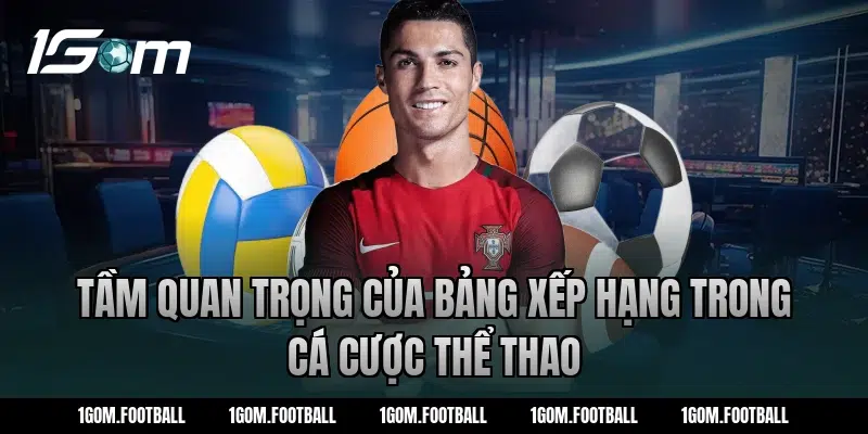 Tầm Quan Trọng Của Bảng Xếp Hạng Trong Cá Cược Thể Thao